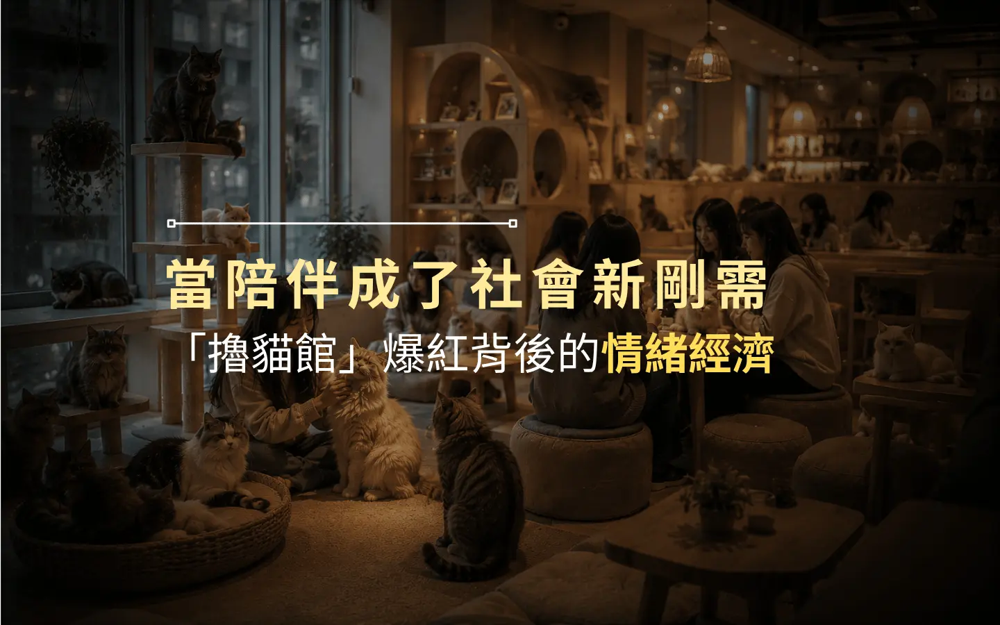 擼貓館